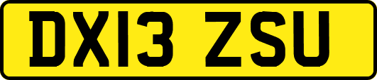 DX13ZSU