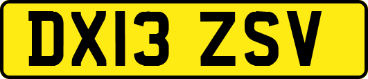DX13ZSV