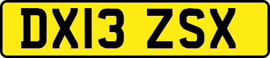 DX13ZSX