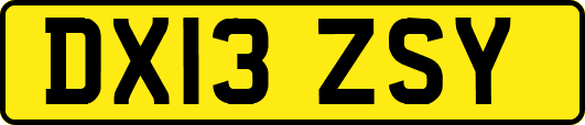 DX13ZSY