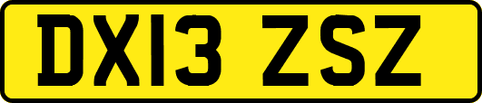 DX13ZSZ