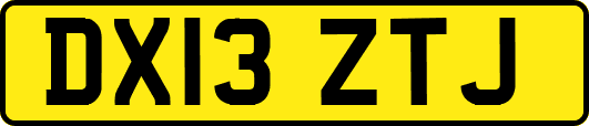 DX13ZTJ