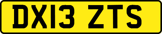 DX13ZTS