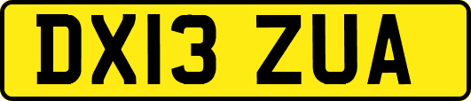 DX13ZUA