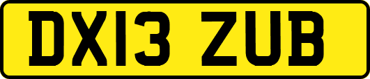DX13ZUB