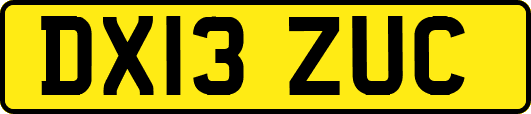 DX13ZUC