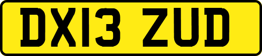 DX13ZUD