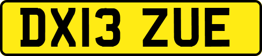 DX13ZUE
