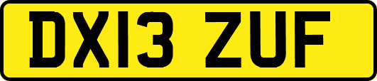 DX13ZUF