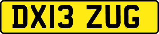 DX13ZUG