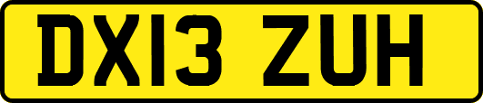 DX13ZUH