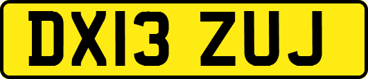 DX13ZUJ