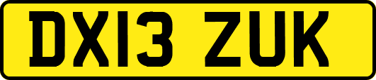 DX13ZUK