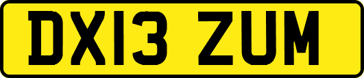 DX13ZUM