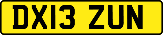 DX13ZUN