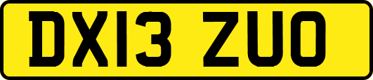 DX13ZUO