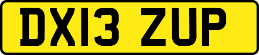 DX13ZUP