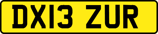 DX13ZUR