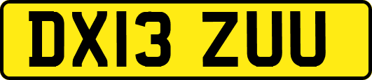 DX13ZUU
