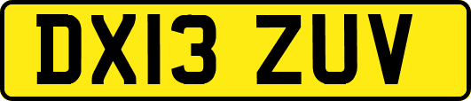 DX13ZUV