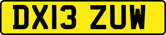 DX13ZUW