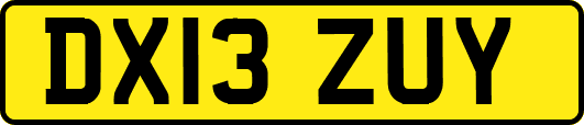DX13ZUY