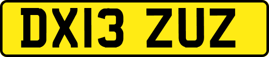 DX13ZUZ