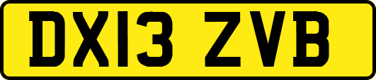 DX13ZVB