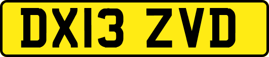 DX13ZVD