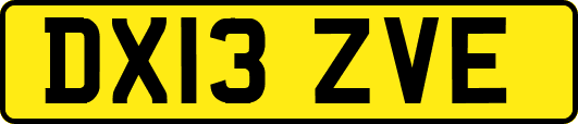 DX13ZVE
