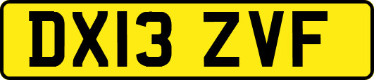 DX13ZVF