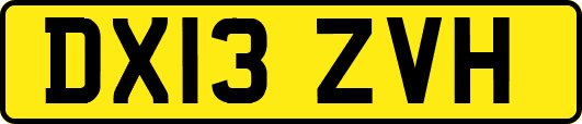DX13ZVH