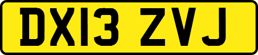DX13ZVJ