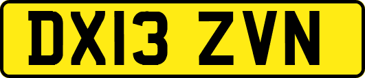DX13ZVN