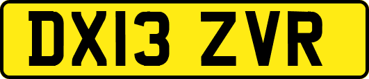 DX13ZVR