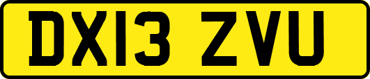 DX13ZVU