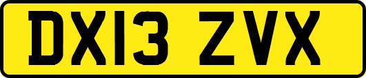 DX13ZVX