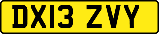 DX13ZVY