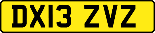 DX13ZVZ