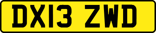 DX13ZWD