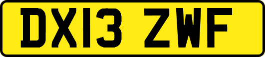DX13ZWF