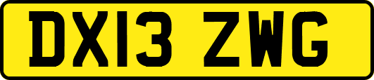 DX13ZWG