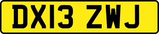 DX13ZWJ