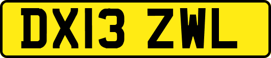DX13ZWL