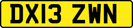 DX13ZWN