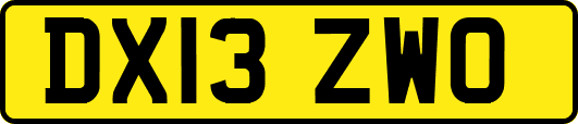 DX13ZWO