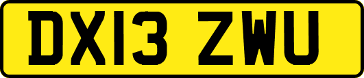 DX13ZWU