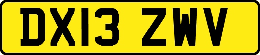 DX13ZWV