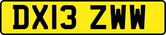 DX13ZWW
