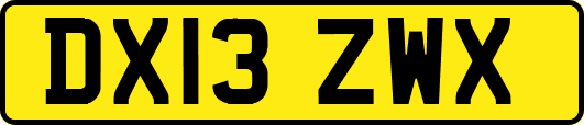 DX13ZWX